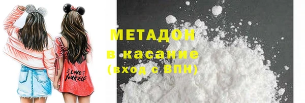 стаф Алзамай
