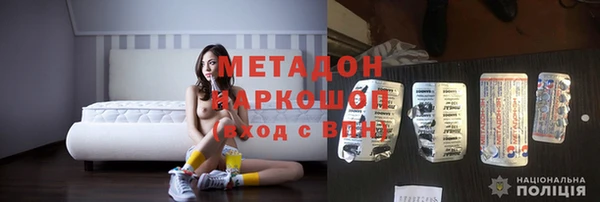 стаф Алзамай