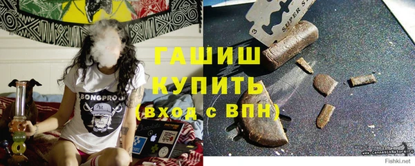 индика Гусев