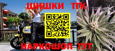 стаф Будённовск