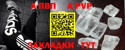 стаф Будённовск