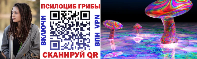 blacksprut сайт  Ахтубинск  Галлюциногенные грибы MAGIC MUSHROOMS 