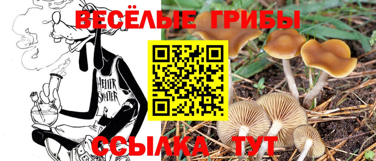 Галлюциногенные грибы Magic Shrooms Ахтубинск