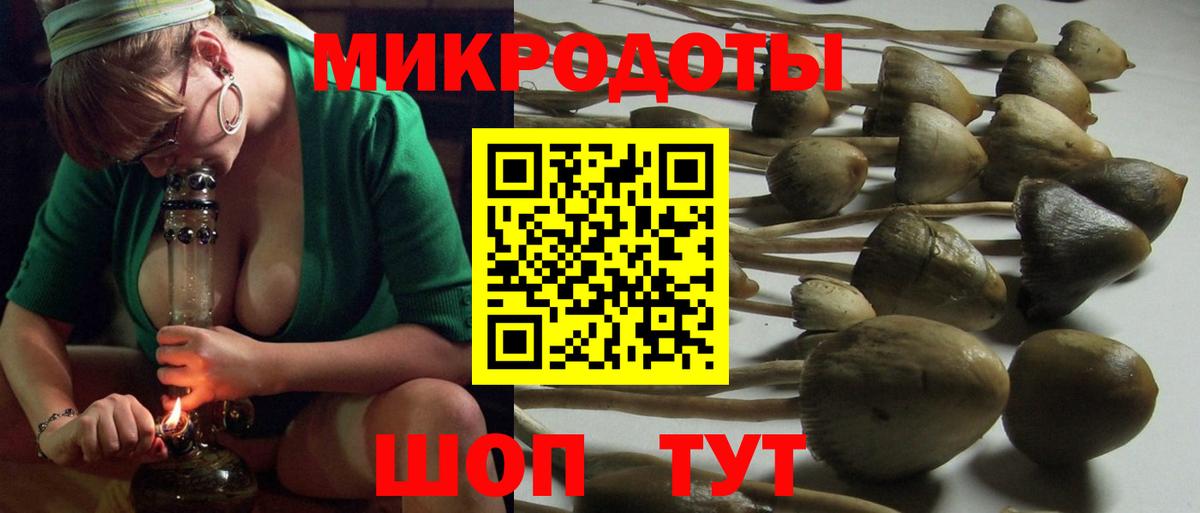 Галлюциногенные грибы Cubensis  Вход с VPN  Ахтубинск 