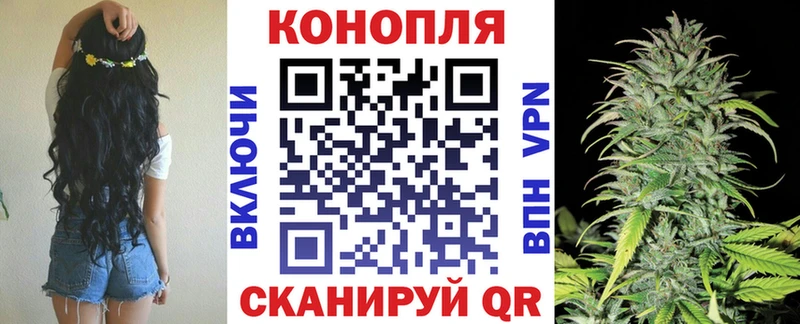 МАРИХУАНА тримм  МЕГА зеркало  Ахтубинск  даркнет сайт 